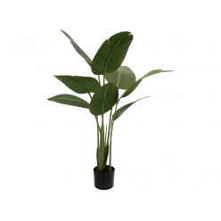 EUROPALMS Strelitzia, artificial plant, 110cm